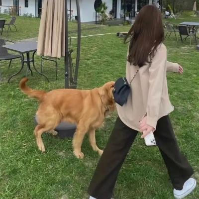 珍爱热线